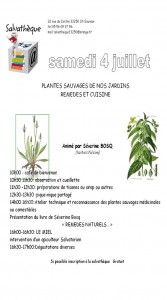 Plantes Sauvages de nos Jardins - Remèdes et Cuisine