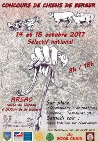 Concours de chiens de berger