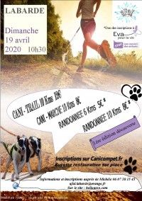 Cani-trail Cani-marche randonnée