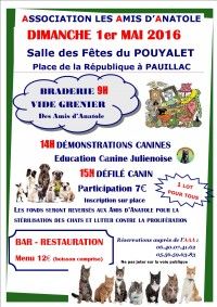 Braderie et Démonstration Canine