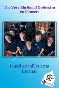 The Very Big Small Orchestra en Concert