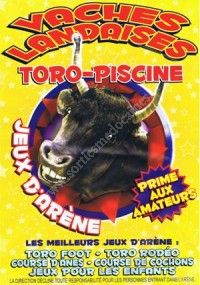 Toro-Piscine