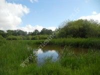 48h Nature : chantier nature lagune Claire de Bel