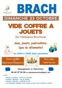 VIDE COFFRE A JOUETS