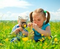 Découverte de la biodiversité du jardin