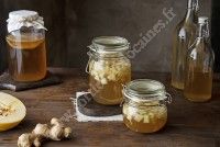 Atelier Lactofermentation : les boissons fermentées