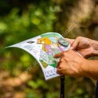 Course d'Orientation en nocturne / CAP 33