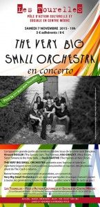 The Very Big Small Orchestra en Concert