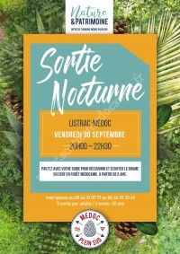 Sortie nocturne - Brame du cerf