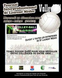 Tournoi de Volley Interprofessionnel