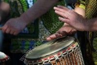 Animation Afro Latino