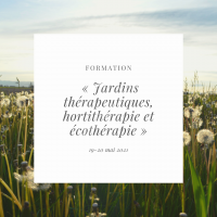 Formation : Jardins thérapeutiques, hortithérapie et écothérapie