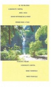 Grand nettoyage de la fôret