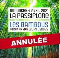 Foire aux Plantes 2021