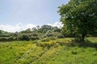 Découverte du Marais du Logit