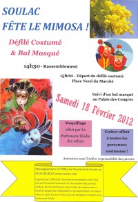 Soulac fête le Mimosa !