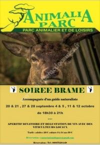 SOIREE BRAME