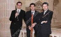 Concert : Trio Roussel