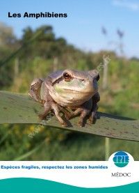 Science participative : Amphibiens