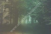 Sortie nocturne sur le sentier de la Berle