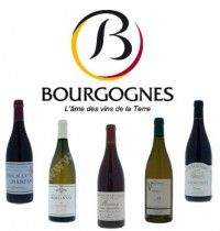 Zoom sur la Bourgogne