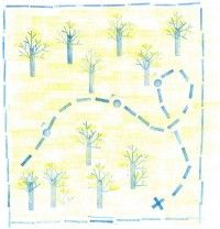 Balade curieuse en forêt