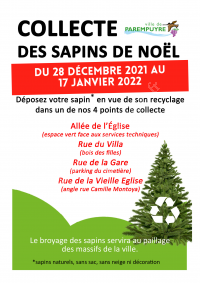 Collecte des sapins de Noël