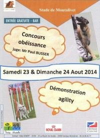 Concours obéissance