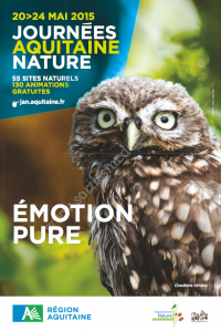 Les rives Est du lac de Lacanau