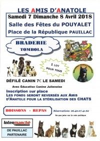 Braderie & Défilé Canin