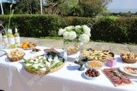 Visite et dégustation vins et fromages