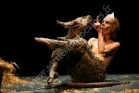 La Vieille & La Bête