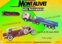 Exposition de Maquettes de Collection