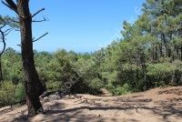 Découverte de la Dune de Grave
