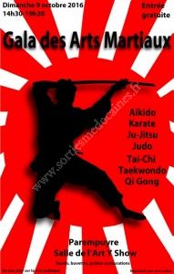 GALA des ARTS MARTIAUX