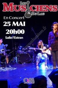 Les Musiciens du Lac en Concert