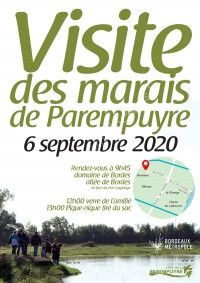 Visite des marais