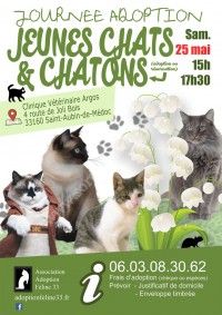 Journée Adoption Chats