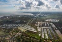 Inventaire floristique sur les vasières