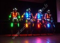 Spectacle Les Androlux