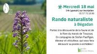Randonnée naturaliste