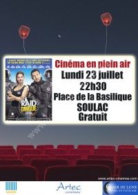 Cinéma en plein air : Raid dingue