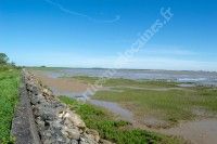 Découverte des bords d'estuaire