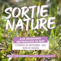 A la Découverte des Papillons de Nuit