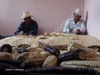 La mondialisation chance ou chimère ?