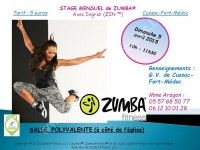 Stage de Zumba