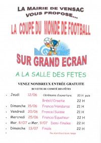 Coupe du Monde de Foot sur Grand Ecran