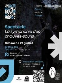 Spectacle - La symphonie des chauves-souris