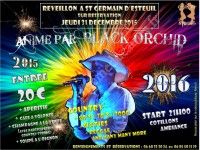 Réveillon de la Saint-Sylvestre 2015