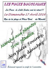 Les Puces Bucoliques